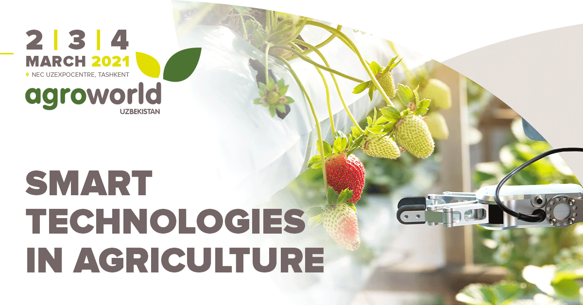 ItecaExhibition's tweet photo. 👉 A smart farming project is launched in Uzbekistan!

Take the chance to introduce your "smart" farming technologies to the industry #AgroWorld Uzbekistan 
▶️  https://t.co/JGLxBDuqTt

#ItecaExhibitions #MoreThanJustEvent #ExhibitionsBuildEconomies #Smart https://t.co/GYG4EIpyNu