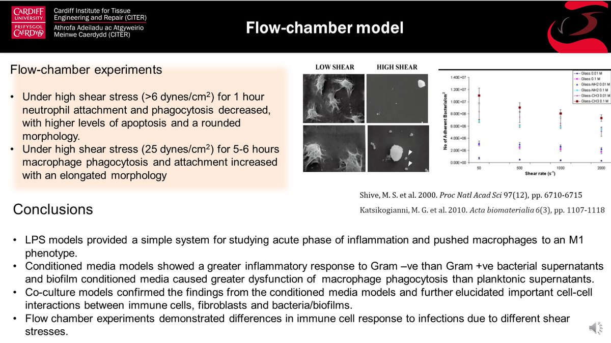 RBGCardiff's tweet photo. Yumeng Guo, a Tissue Engineering MSc student in our group will be presenting her poster on "In vitro models to study the host response to biomaterial infections" today at 9:30 as part of the #CITERASM20. Feel free to ask her questions about it! @CITERInst #CITERASM20poster https://t.co/KlxeSjKovJ