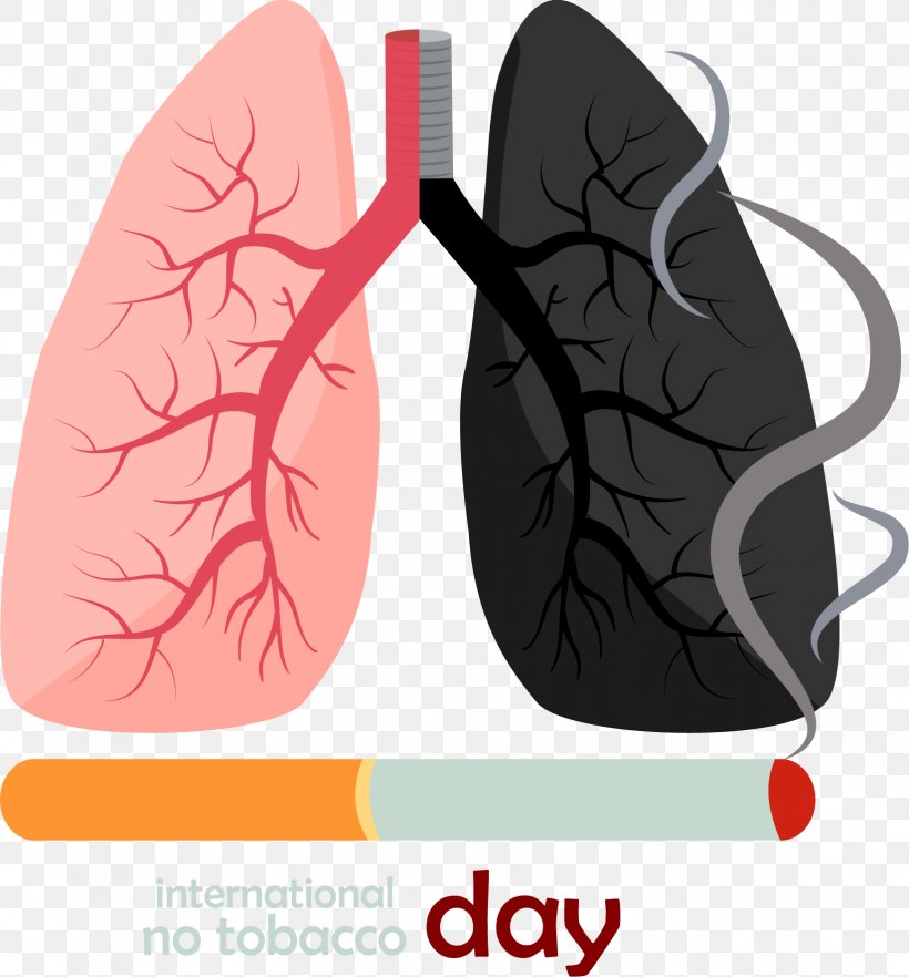 TobaccoCtrlUg's tweet photo. Cigarette smoking can suppress the immune system and cause heart and lung diseases. Stay away from any form of Tobacco consumption, and stay healthy. #TobaccoFREEUganda #SmokeFREEUg
cc @Dphyn1 @DeryckPro @KETCA254 @kawooyambaali @itsstilltobacco @uhca_ug @ImmanuelOloo @IILAinfo https://t.co/YraEVBjkCD