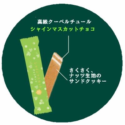 shingenyakata's tweet photo. こんにちは、館の主でーす😃

✨新商品のお知らせ✨

高級クーベルチュールに #山梨県産 #シャインマスカット を使用したチョコをサクサクのナッツ生地でサンドしました👍
1箱16本とたっぷり入っているのでちょっとしたお茶の時間にもお土産にも嬉しいお菓子です😄

#新商品  #信玄館 #山梨 #甲州 https://t.co/HqpB4Czz0F