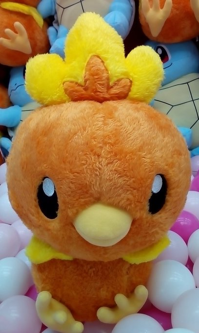 Tac Koriyama Auf Twitter クレーンゲーム ポケットモンスター ほっこりいやされ めちゃでかアチャモぬいぐるみ ポケットモンスター しっぽみてみて めちゃでかゼニガメぬいぐるみ 入荷しました ポケットモンスター ポケモン アチャモ ゼニガメ