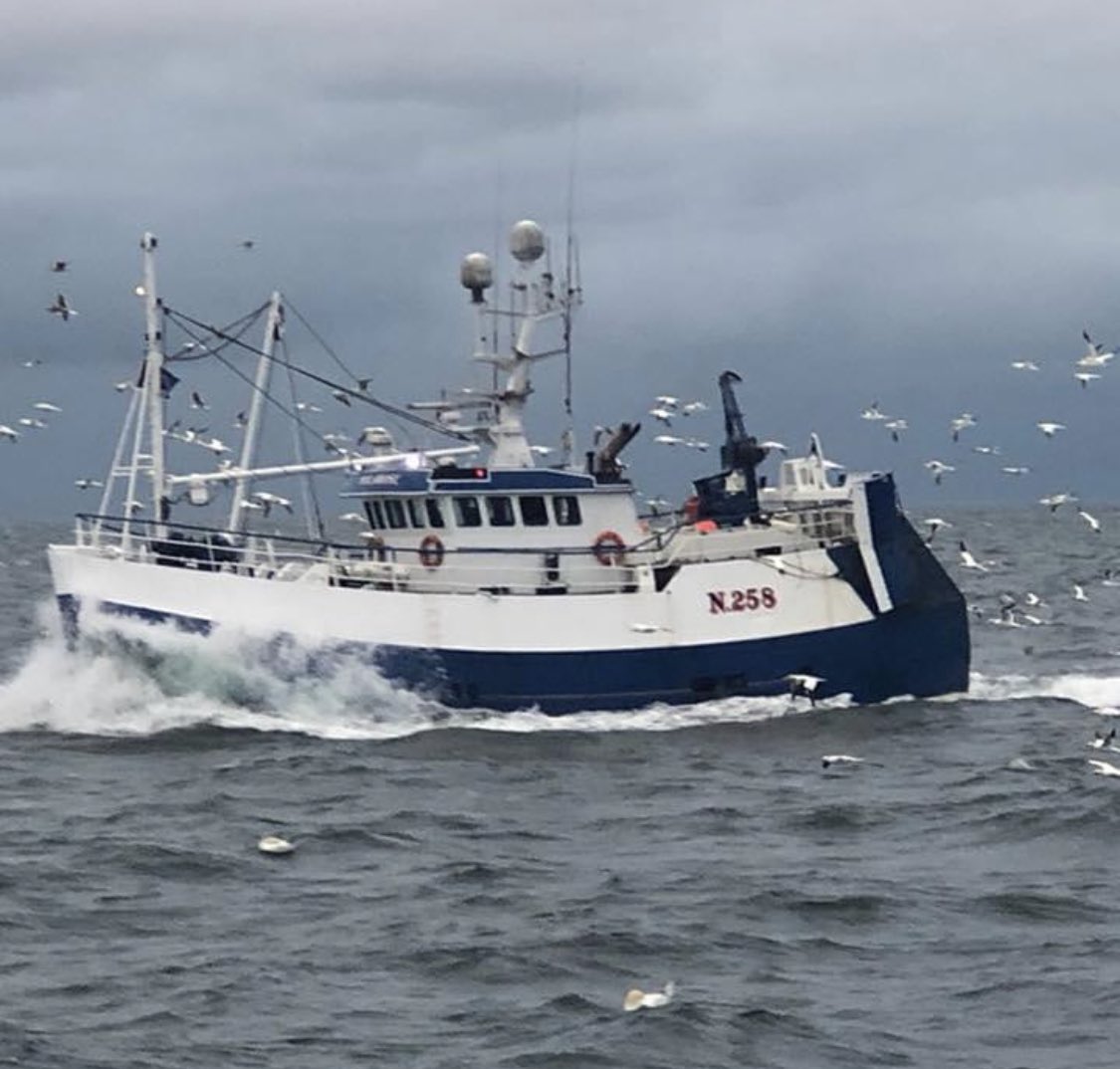 Sea-Source/ANIFPO tweet media