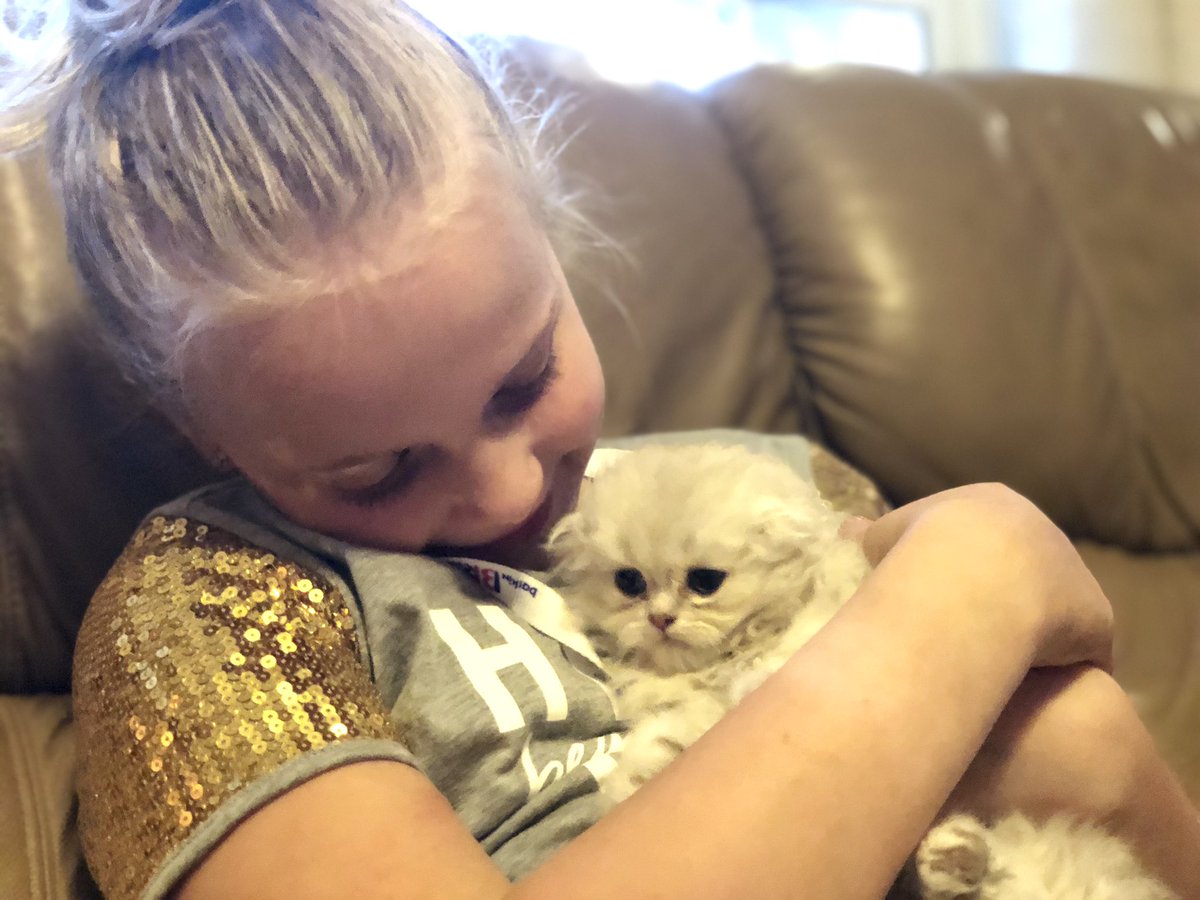Sophie received an early birthday present. 🎉🎁🎈She’s wanted one of these fluffy Scottish Fold cats ever since she found out that Taylor had one. Ends up, they’re right at the top of the charts for best emotional support cats. 🤔 #sophiesarmy #ScottishFold #namesophiescat