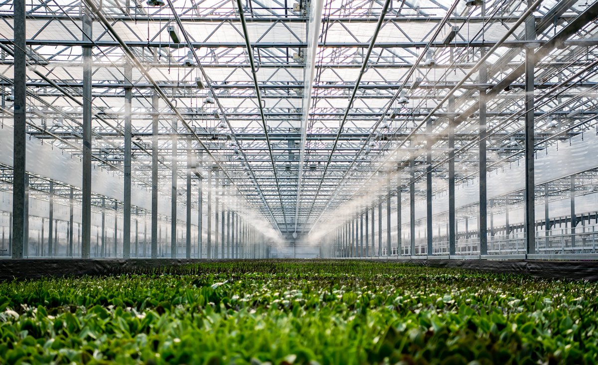 VACATURE TEELTMEDEWERKER 🌱 | Wil jij aan de slag in een duurzame omgeving? Heb je groene vingers en oog voor kwaliteit? Dan zijn wij op zoek naar jou! Bekijk hier de vacature: vacature.store/vacature/ter-l…