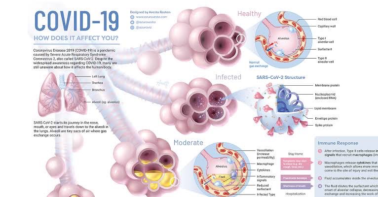 wasimdfo's tweet photo. Nobody can save you from Covid-19 pandemic but yourself, and you’re worth saving. It’s a Battle not easily won, but if anything is worth winning then it is to overcome from it. Healing takes time,may loose sense of taste and smell but never loose mind to the disease. https://t.co/f4wFpXC2Tr