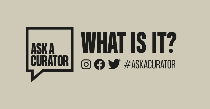 National Wool Museum tweet media