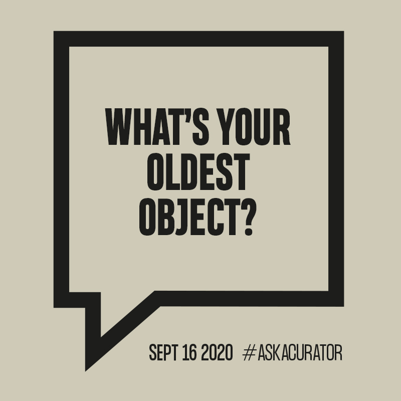 National Wool Museum tweet media