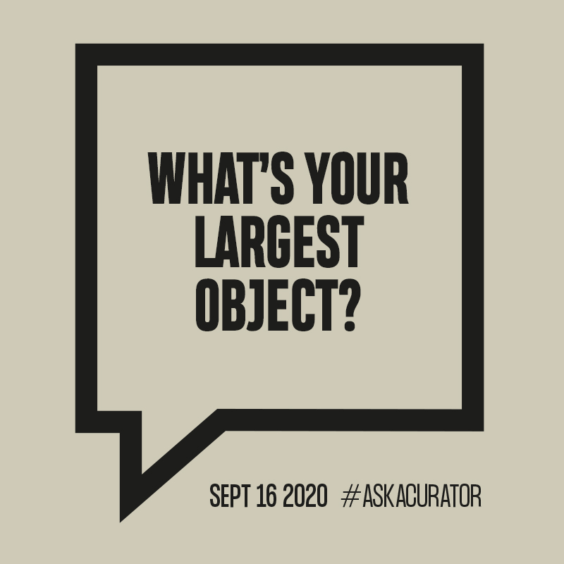 National Wool Museum tweet media