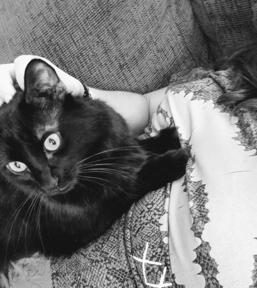 saymyname1980's tweet image. "Si en la mañana te despiertas y no estás solo, si a la primera luz del alba ves a otro ser a tu lado, el mundo te parece un lugar mucho mejor" 🖤
Van Gogh/Cartas a Theo
#Bowie #mipantera