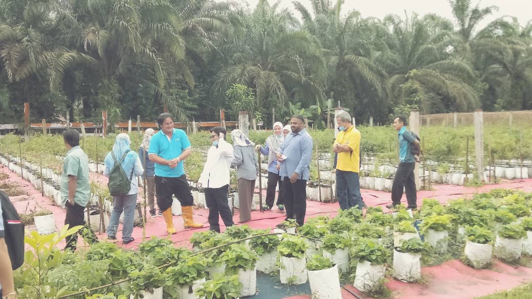 PertanianKinta's tweet photo. Lawatan Pemantauan Pengarah BPIT Putrajaya ke Projek Kluster Tanaman Tembikai, Kluster Tanaman Betik dan Kluster Tanaman Kontan Daerah Kinta/Kampar
Tarikh : 15hb September, 2020
Projek Kluster Tembikai Ulu Kuang
Usahawan: Ng Yoon Thiam
Keluasan:2.4ha
@siree_sankaran
@myDOA_Perak https://t.co/OqdX6wgoK4