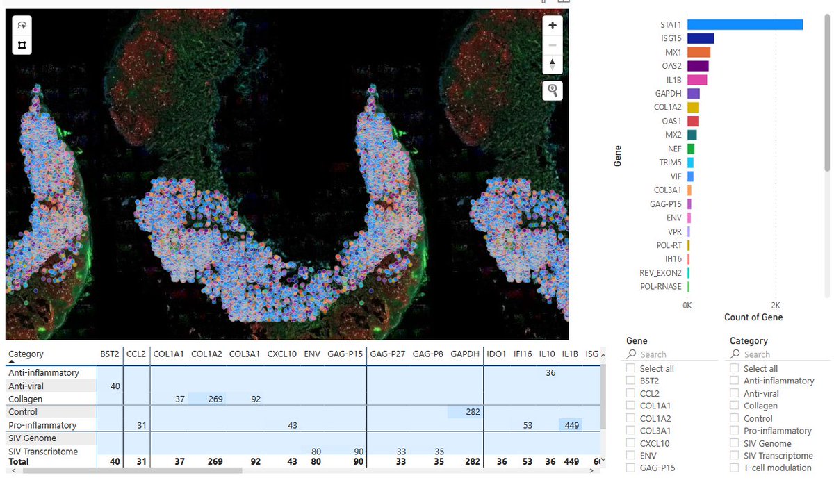 Ahmet F. Coskun tweet media