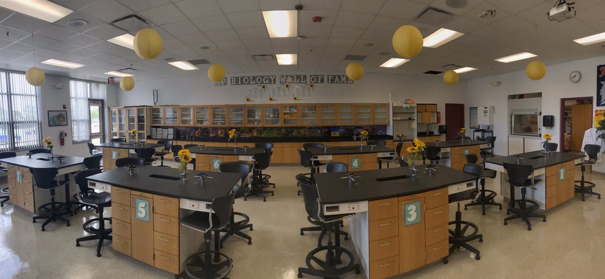 Just like that, you blink and you’re a 4th year teacher. Nothing better than having my kids back in this room today 🌻 <a href="/lansecreuse/">L'Anse Creuse Public Schools</a>