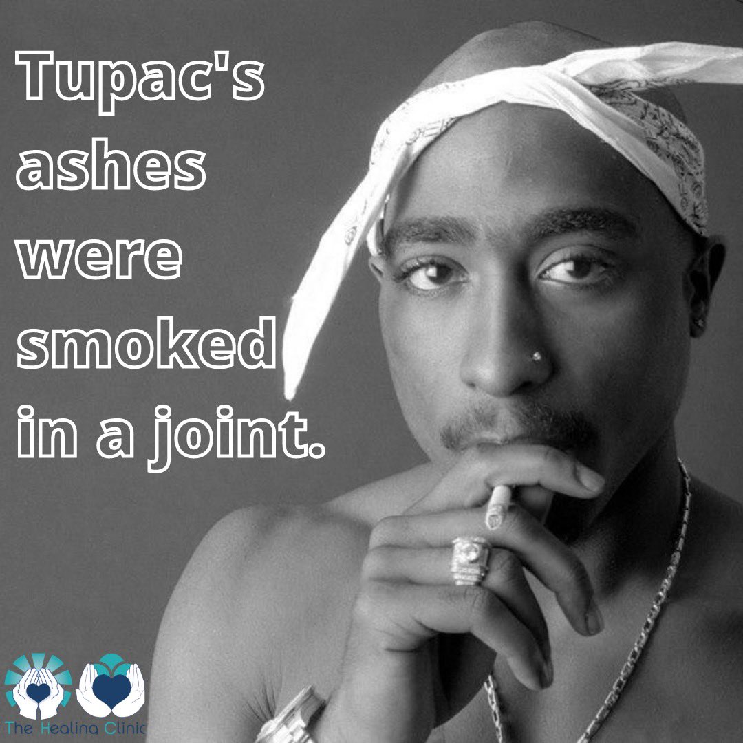 THC_Chicago's tweet photo. It's true! https://t.co/aSxkfl0wk2