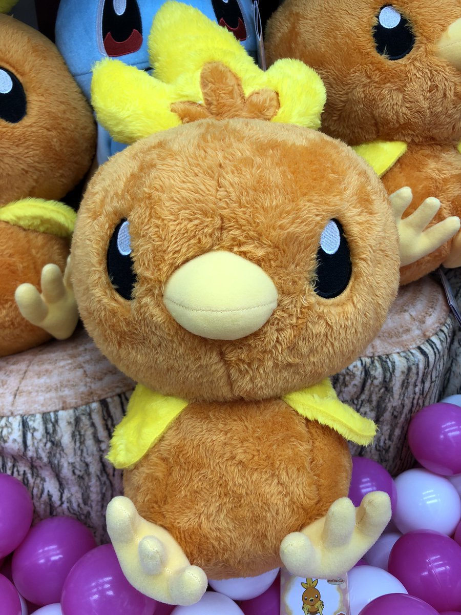 秋 葉 原 Hey Tren Twitter プライズ 本日新入荷 ポケットモンスター ほっこりいやされ めちゃでかアチャモぬいぐるみ アチャモ のいやされぬいぐるみ入荷しました ホコホコとした触りごごちでとっても癒されますよ コトブキヤさん側1階に登場です 秋葉原hey