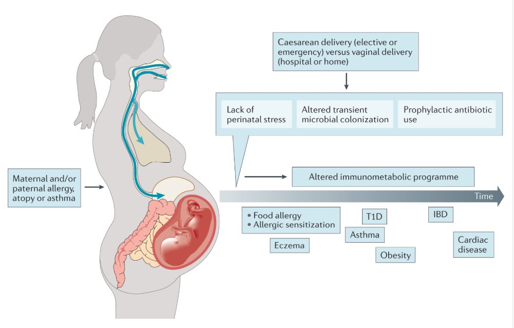 mmw_lmw's tweet photo. Early life #Microbial_Exposures and #Allergy_Risks | opportunities for prevention | Caesarean delivery is an important risk factor | Harald Renz @Uni_MR @NatRevImmunol https://t.co/y1ZwsMXWIz https://t.co/PgDV6IfctF