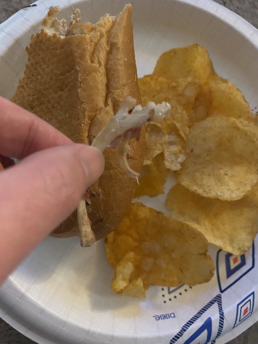 FeRReTbRaT's tweet photo. When @capriottis tries to kill you with the Bobbie! Be careful! This bone was in my sandwich! Zetus Lapetus Capriottis #capriottis #bone #zenon #zetuslapetus https://t.co/rFNRe15pi0