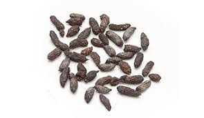 Brown Rat poop:- are dark brown in a tapered, spindle shape - like a grain of rice.