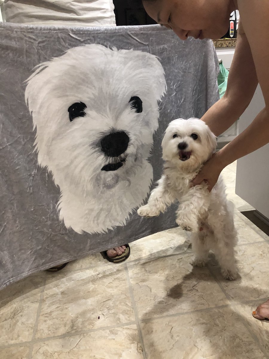 eintxu's tweet photo. My co worker gave me the best birthday present 😭💓 https://t.co/rF3EBa5H1k