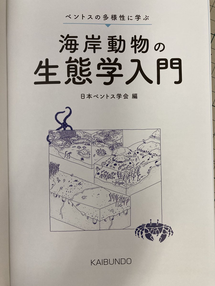 海岸動物の生態学入門〜ベントスの多様性に学ぶ』店頭に並ぶのは