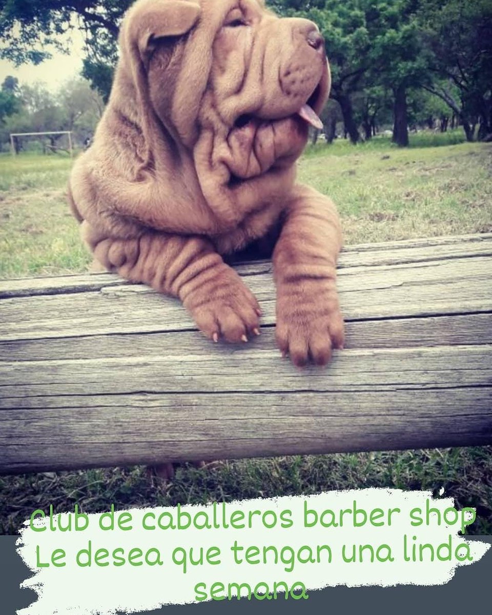 ClubDeCaballer2's tweet photo. https://t.co/IXGNAukiT2