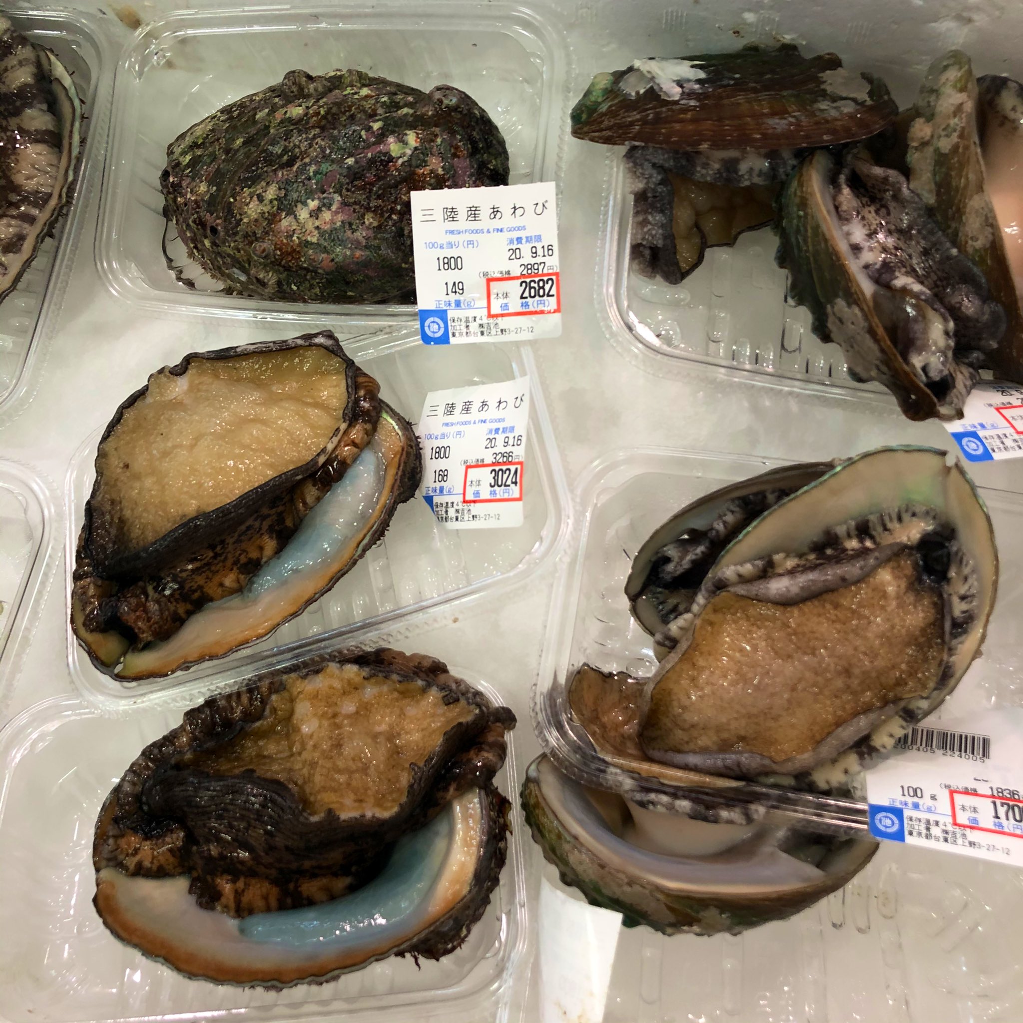 吉池 夜光貝とか あわびとか つぶ貝とかいろいろ T Co Ok5pwumjmn Twitter