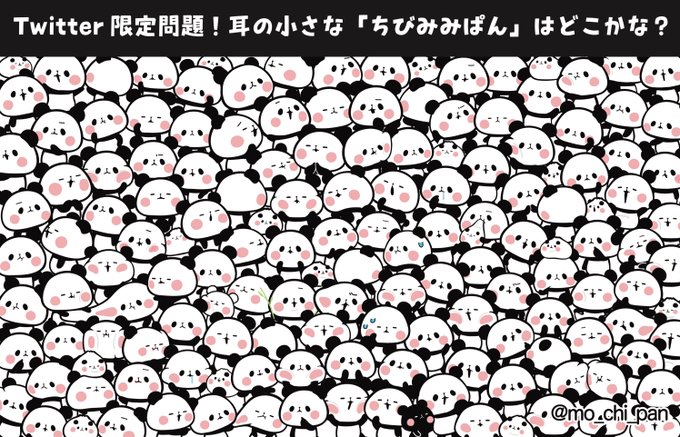 もちもちぱんだ もちぱん 公式 Mo Chi Pan Page 3 Twilog