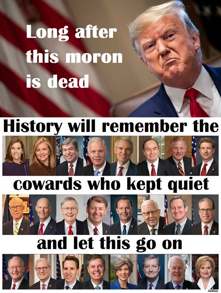 ARhysTay's tweet image. House Managers prosecuted the case.  

The #GOPSenate nullified the incontrovertible evidence.  Now we get to hold them accountable on November 3, 2020.  

#BidenHarris2020

#VoteThemOut