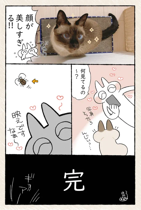 かわいい顔してるときはたいてい何かを狙ってる #シャム猫あずきさんは世界の中心 