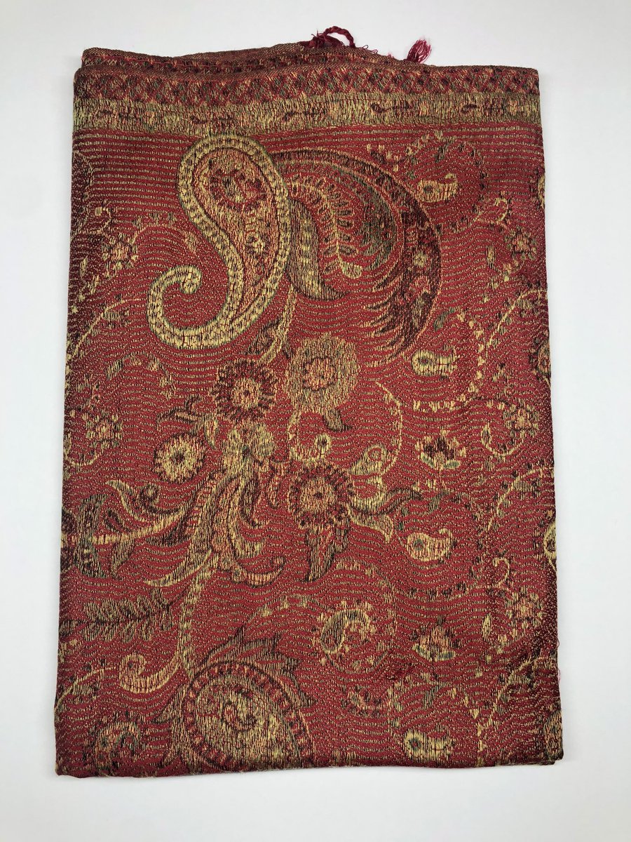 ThePashminaPlug tweet media