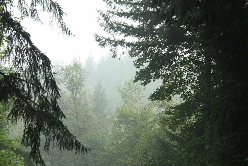 SavePeopleInc's tweet photo. The roads to the beach still had lots of smoke for other Oregon fires. #oregoncoast #oregononfire #oregonfires2020 https://t.co/wDSvY6sj2B https://t.co/ulEMZrIL2E