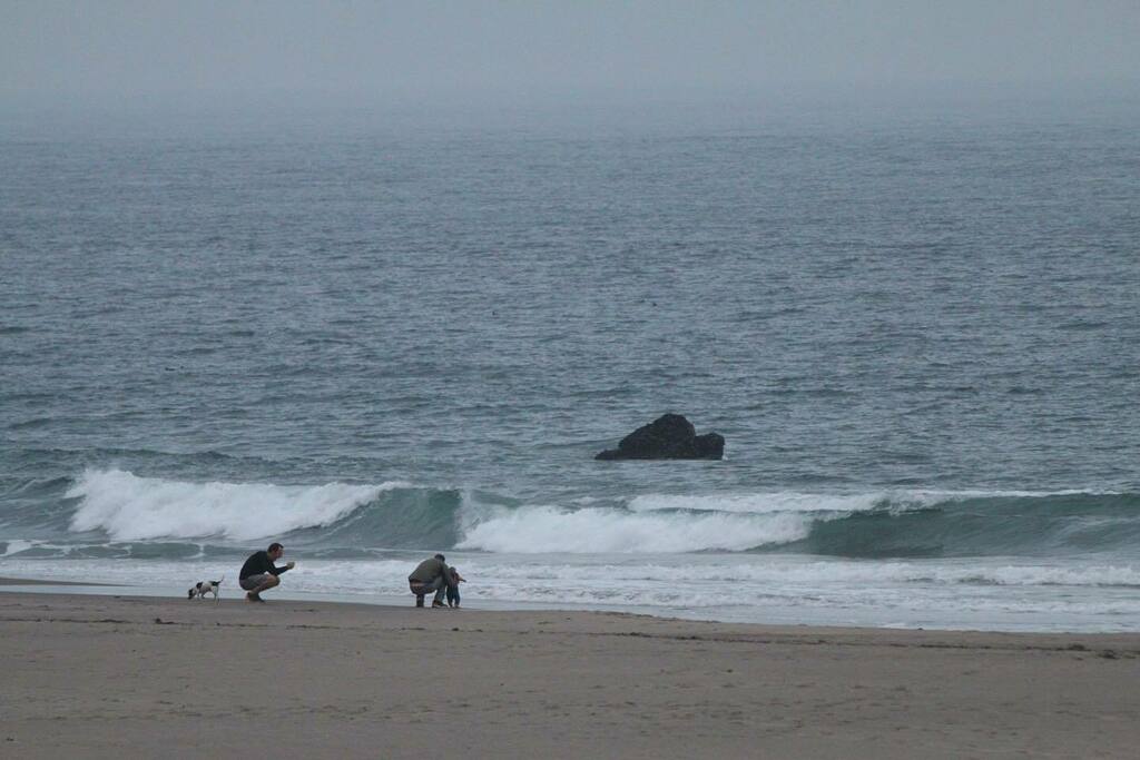 SavePeopleInc's tweet photo. Nothing is stopping this family from enjoying the day. #oregoncoast #oregononfire #oregonfires2020 https://t.co/4CA8sj7ZL0 https://t.co/dDdoHX1c7X