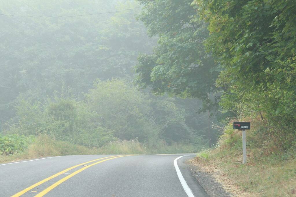 SavePeopleInc's tweet photo. Smoke from the fires in Oregon’s Forrest. #oregoncoast #oregononfire #oregonfires2020 https://t.co/c1xUIEIKMv https://t.co/NKGwWbNNnJ