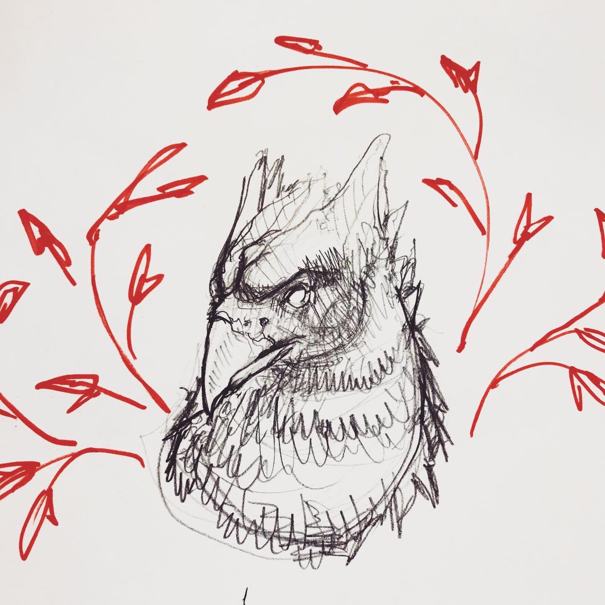 Birb, rough sketch vs final ink. 