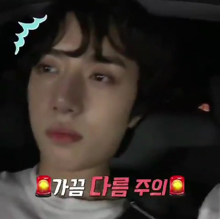 prodkthn's tweet photo. "i love txt"                               "but cat &amp; dog
                                                   is a skip" https://t.co/yUaD7Jugx2