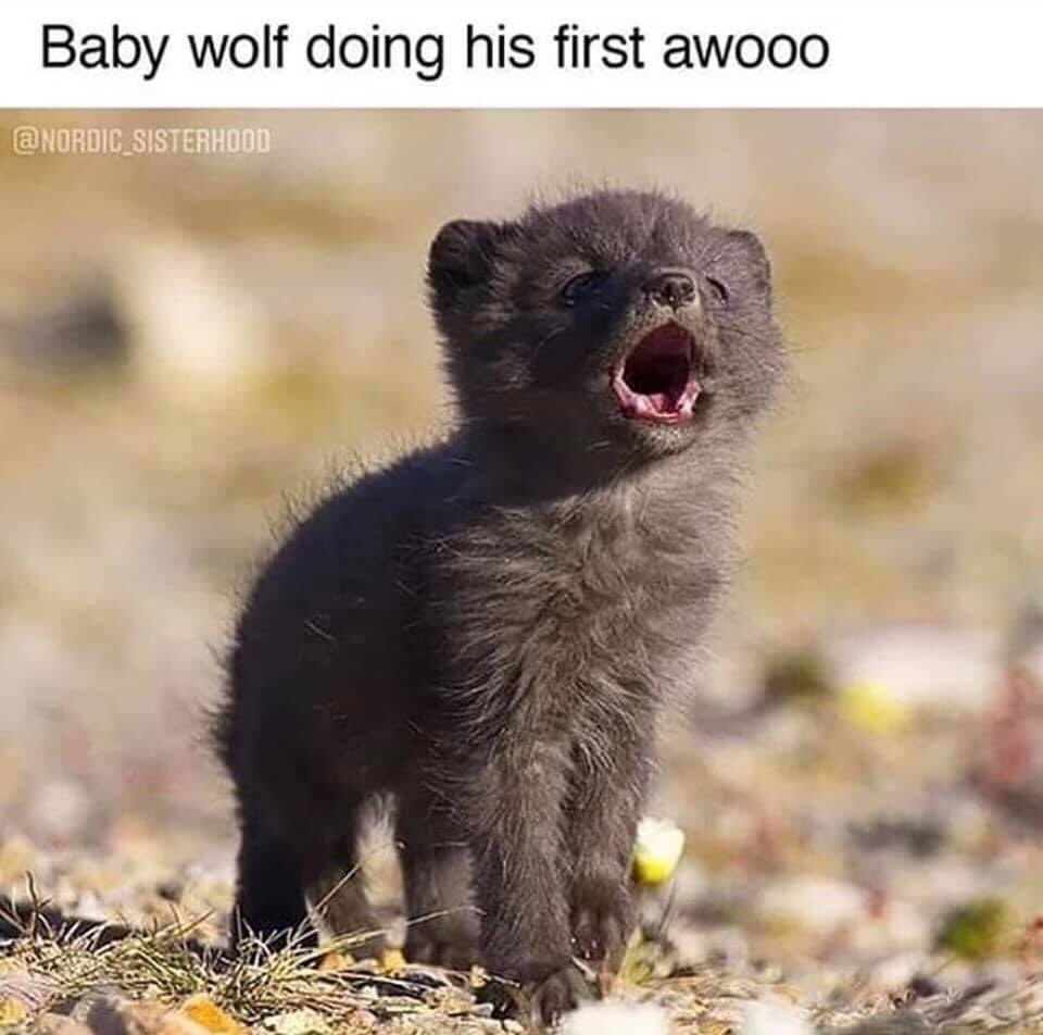 🥺🥺🥺
