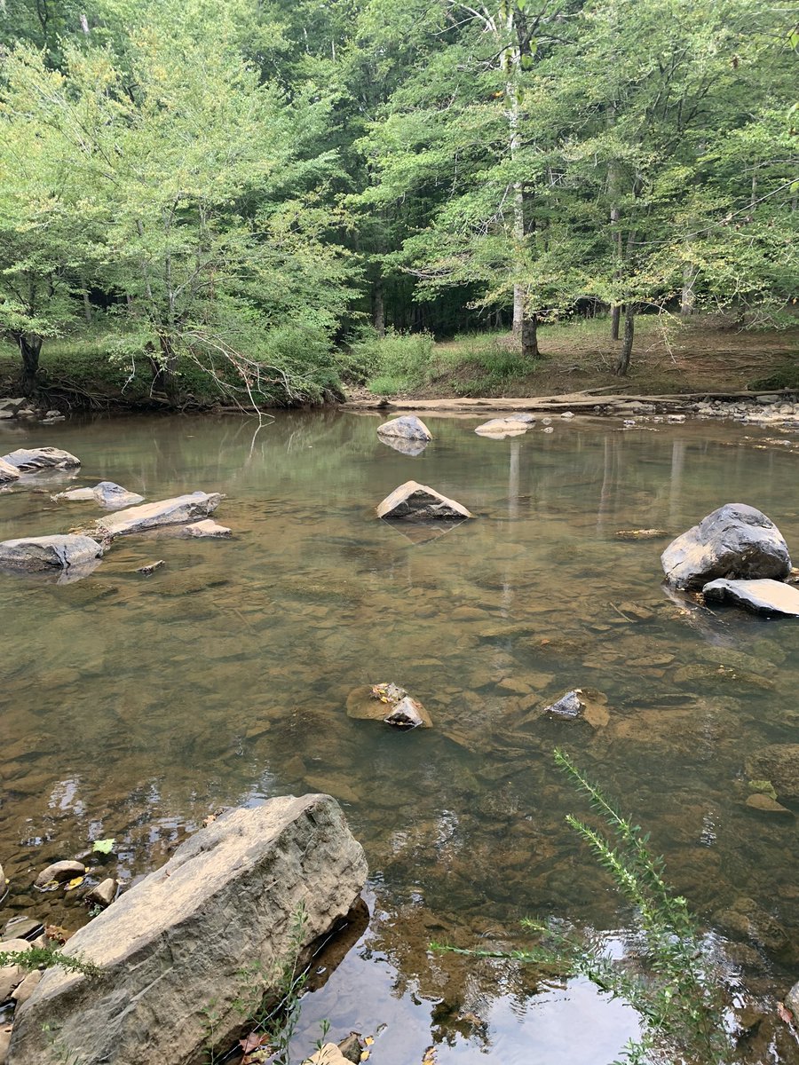 KittyHelm's tweet photo. Some noticing and views from an outdoor hike at Eno State Park this weekend. #eloned #eviroEd #EDU431 is making me want to get outside to explore! https://t.co/4wSjdMm3yv