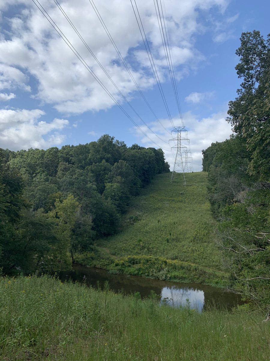 KittyHelm's tweet photo. Some noticing and views from an outdoor hike at Eno State Park this weekend. #eloned #eviroEd #EDU431 is making me want to get outside to explore! https://t.co/4wSjdMm3yv
