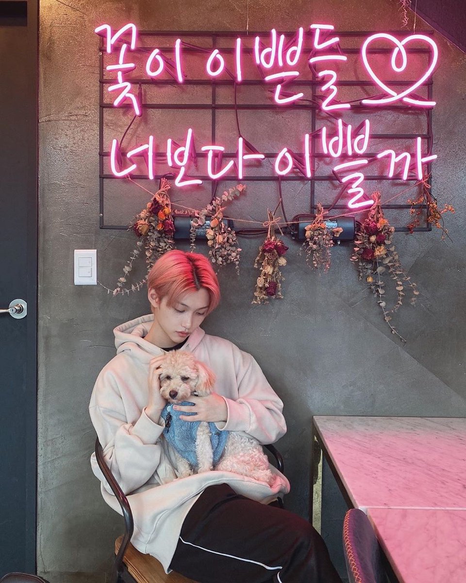 he loves dogs! he often goes to dog cafes to play with them. funny how he actually thinks that he looks like a cat but he really like dogs.