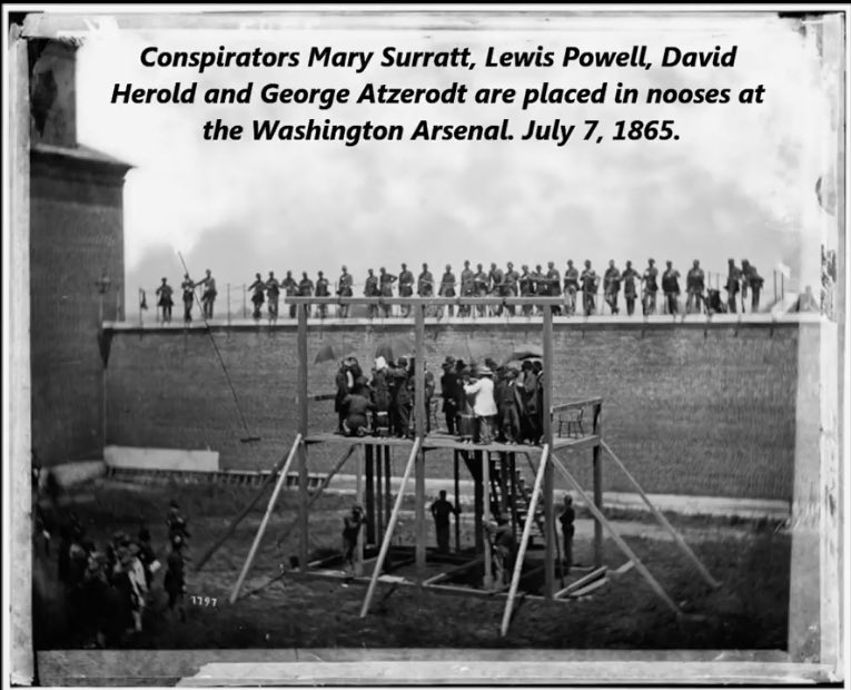 4AllSoulKind's tweet photo. Powell was also known as Payne.
What tangled webs [they] weave.
This is the #KAVANAUGHRULE. 
There will be no deals, just more shallow graves at the Arsenal, along side [their] predecessors. 
Enemy Combatant status awaits. 
The tribunals and executions will be televised. https://t.co/lJvQ2Zac2W