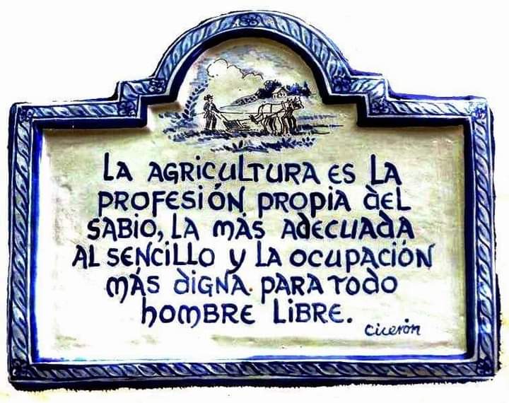 daroHC's tweet photo. Hoy se celebra en Uruguay el Día del Ingeniero Agrónomo. Feliz día a todos estos grandes profesionales, en especial a los Ingenieros Agrónomos que incorporan innovación, generan nuevas tecnologías y transfieren conocimientos. https://t.co/tx0wBSzvJB