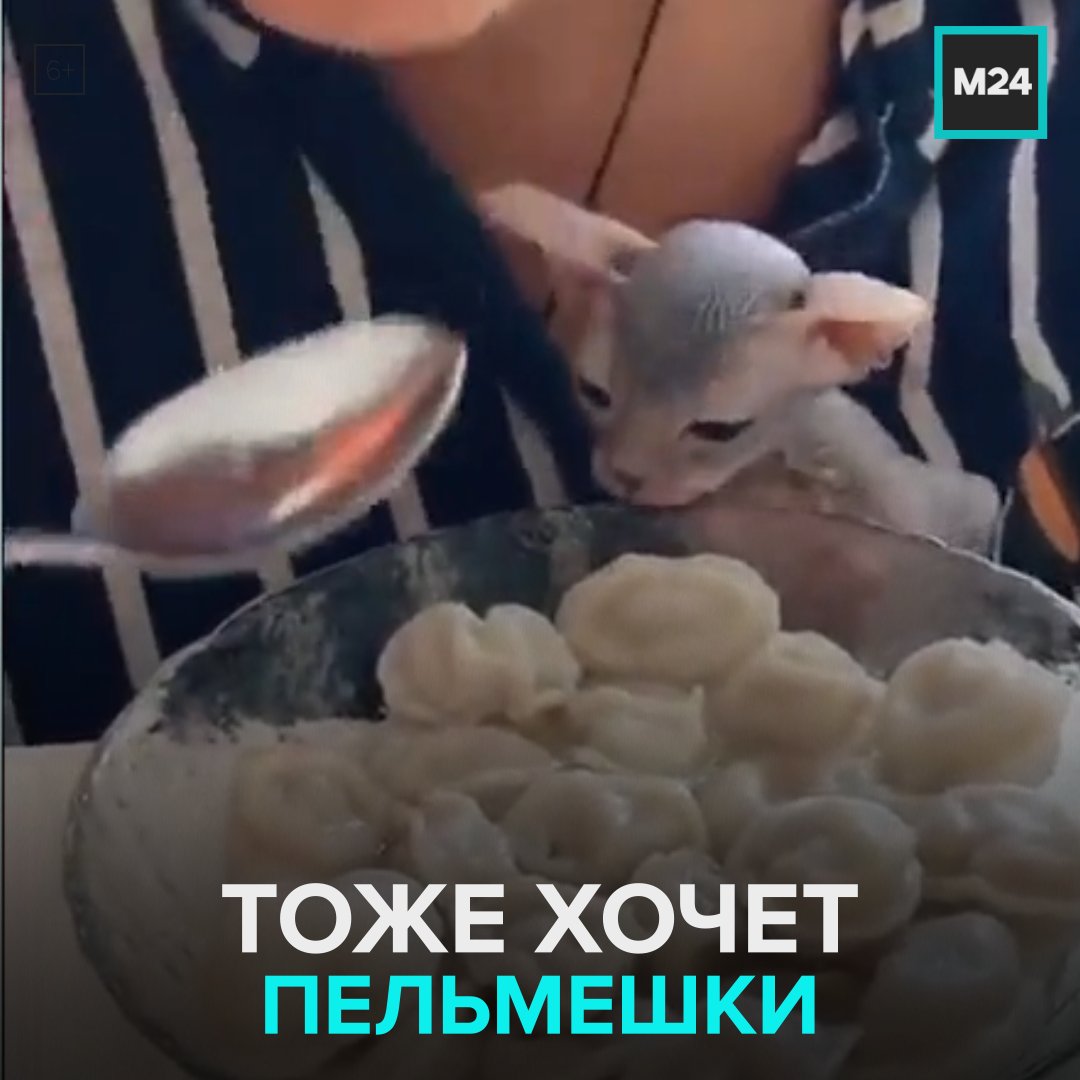 Украл пельмени