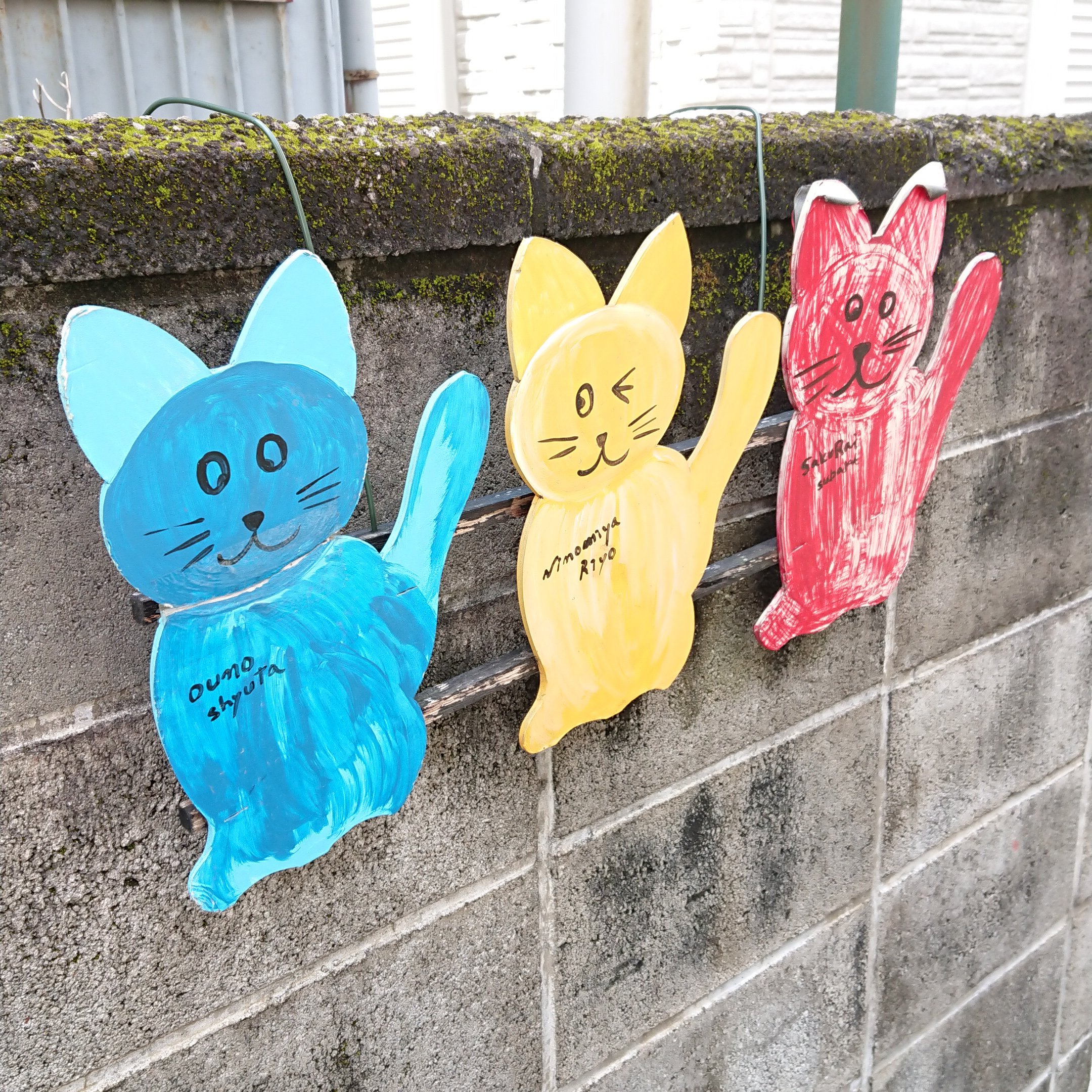 T Caster Twitterren 青梅猫町を散策してきました 昭和の猫町にゃにゃまがり には沢山の猫のイラストやオブジェが展示されていました レトロな雰囲気と何故かわくわくする細道に沢山の猫が溶け込んでいて 気を付けないと見落としてしまう程でした 多摩 猫