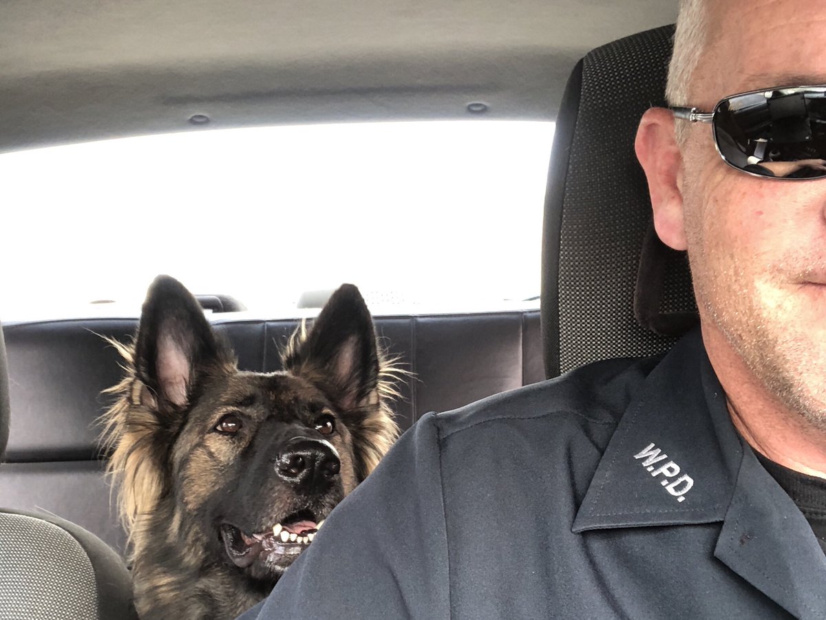 drunkunks's tweet image. My doggo Scully.