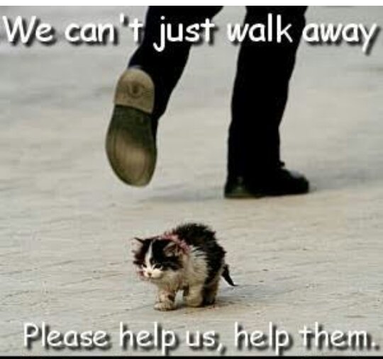 Now the question is to you is....,,, will you just walk away or turn around and help  the one in need --what is your answer?????......