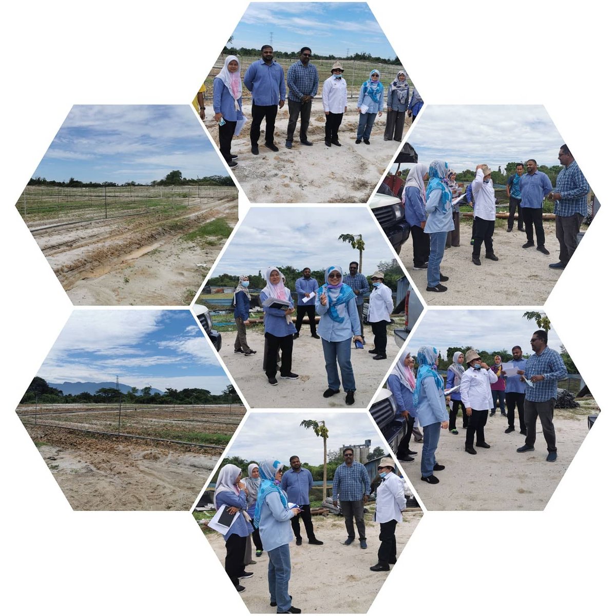 PertanianKinta's tweet photo. Lawatan Pemantauan Pengarah BPIT Putrajaya ke Projek Kluster Tanaman Tembikai, Kluster Tanaman Betik dan Kluster Tanaman Kontan Daerah Kinta/Kampar
Tarikh:15hb September, 2020
Projek Kluster Tembikai Ulu Kuang
Usahawan:Pentaled Sdn Bhd
Keluasan:5.0ha
@siree_sankaran
@myDOA_Perak https://t.co/evBwnvPAFE