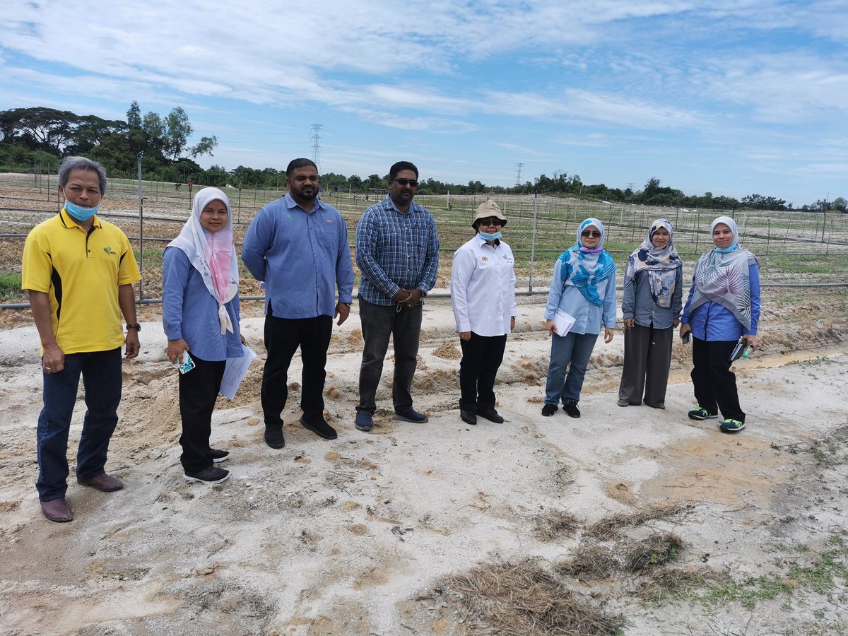 PertanianKinta's tweet photo. Lawatan Pemantauan Pengarah BPIT Putrajaya ke Projek Kluster Tanaman Tembikai, Kluster Tanaman Betik dan Kluster Tanaman Kontan Daerah Kinta/Kampar
Tarikh:15hb September, 2020
Projek Kluster Tembikai Ulu Kuang
Usahawan:Pentaled Sdn Bhd
Keluasan:5.0ha
@siree_sankaran
@myDOA_Perak https://t.co/evBwnvPAFE