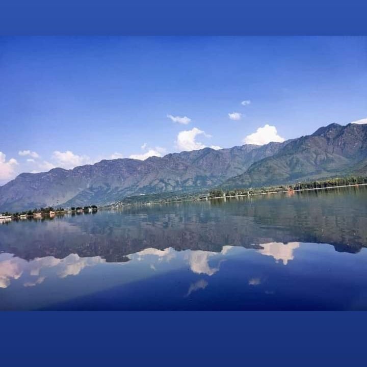 nft_hoc's tweet photo. @RahilRehman9 https://t.co/5o6It7QBlj
