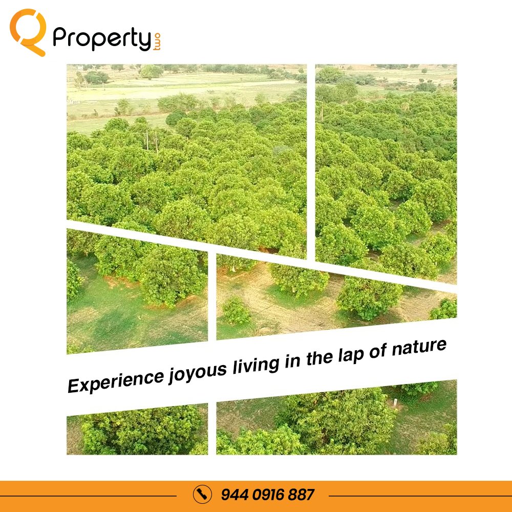 Property2sales's tweet photo. Low investment and high appreciation on Farmlands Located in Telangana. To get more details contact us at +91 9440916887.

#RealEstate #FarmLands #Hyderabad #LowInvestments #HighReturns #IndividualLands #Farming #SecuredLife #TopClassAmenities #NoMediators #Property #ROI https://t.co/OgHNyKxnel