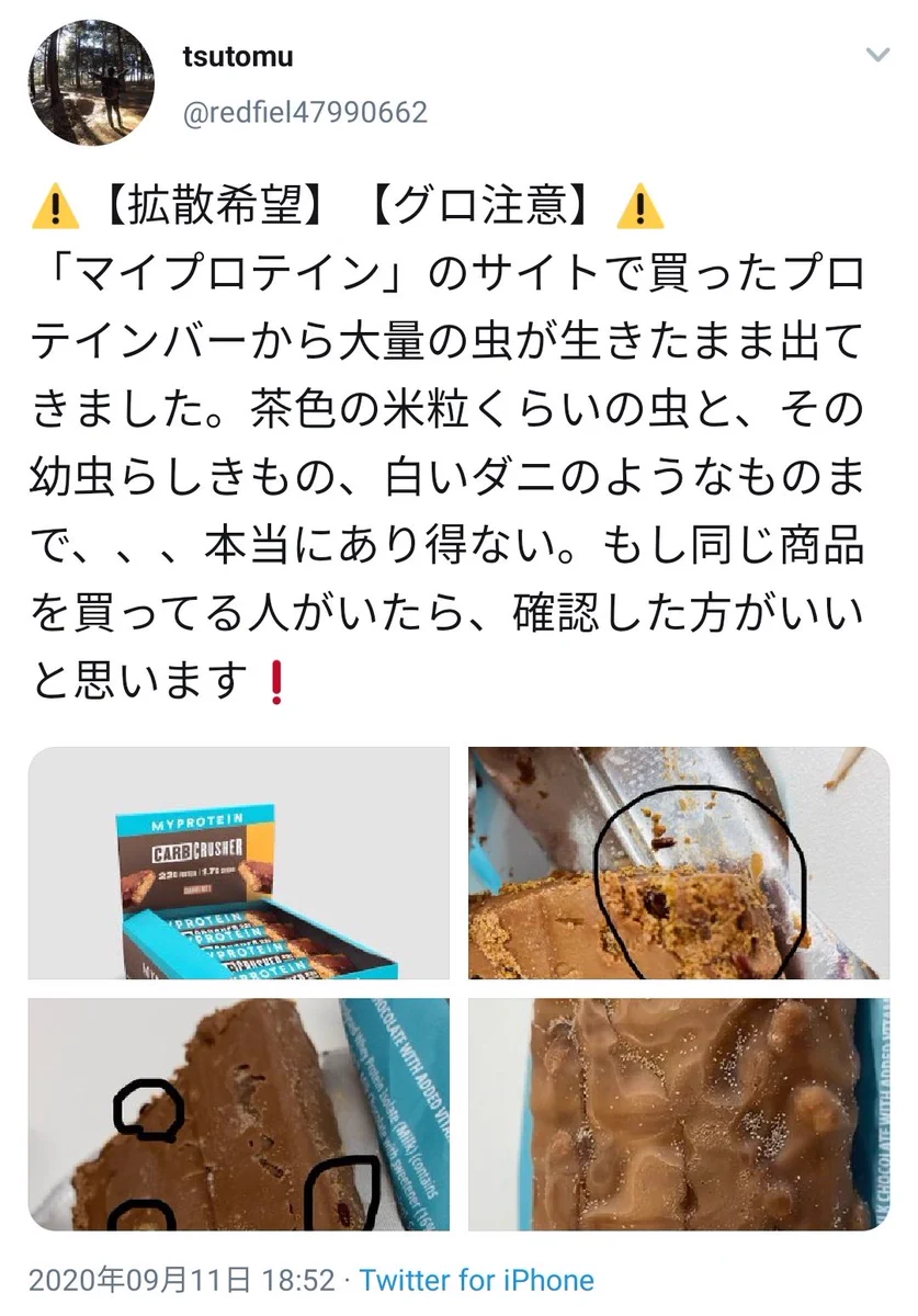 プロテインバーに虫が大量発生し、堂々とムチャクチャなお詫びをする公式サイト。