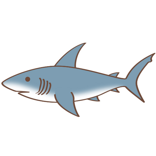 Twitter 上的 イラスト星人 調査報告547 魚 サメ T Co 6wyb5igo2k 鮫 話の通じなさそうな目 イラスト フリー素材 こども園 無料 子供 こども 生物 生き物 魚類 魚 サメ シャーク T Co Kkdyxle4ke Twitter